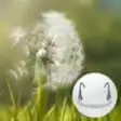 Icon of program: Dandelion (Breathing Game…