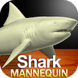 Icon of program: Shark Mannequin