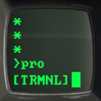 Icon of program: Terminal Green - CRT Them…