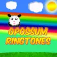Icon of program: Opossum Ringtones