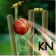 Icon of program: Cricket Launcher