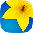 Icono de programa: Gallery