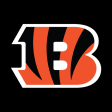 Icon of program: Cincinnati Bengals