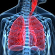 Icono de programa: Respiratory System