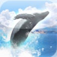 Icono de programa: REAL WHALES Find the ceta…