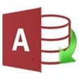 Icon of program: Access to Excel Converter