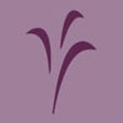 Icono de programa: Foresters Debt Management