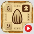 Icono de programa: Sunny Seeds 2: Number puz…