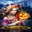 Icon of program: Hidden City: Mystery of S…