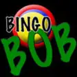 Icon of program: Bingo Bob - Fun and Easy …
