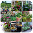 Icono de programa: Container Gardening