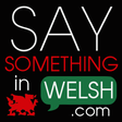 Icon of program: Say Something in Welsh