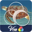 Icon of program: Venn Turtles: Circle Jigs…
