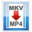 Icon of program: MKV2MP4