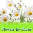 Icono de programa: Flowersbyphone