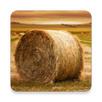 Icon of program: Agriculture Engineering