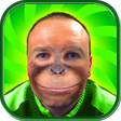 Icon of program: Monkey Face Camera - Funn…