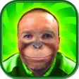 Icon of program: Monkey Face Camera - Funn…