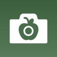 Icon of program: Homeroom - Private albums…