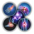 Icon of program: Orthopaedic - Techniques …