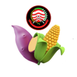 Icon of program: KP3K
