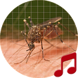 Icono de programa: Mosquito Sounds ~ Sboard.…