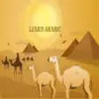 Icon of program: Learn Arabic Flashcard