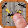 Icono de programa: Ant Smash