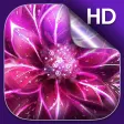 Icon of program: Luminous Flower Live Wall…