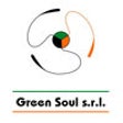 Icono de programa: Green Soul