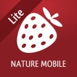 Icono de programa: Wild Berries and Herbs 2 …