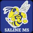 Icon of program: Saline Middle School