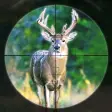 Icon of program: Bow Deer Hunting - USA Wi…