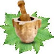 Icon of program: Lebanese Traditional Reci…