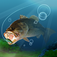 Icon of program: Final Bass Fishing(FBF)