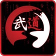Icono de programa: Budocode