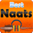 Icono de programa: Naats Offline