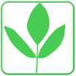 Icono de programa: Medicinal Plants and uses