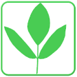 Icon of program: Medicinal Plants and uses