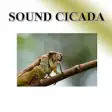 Icon of program: Cicada