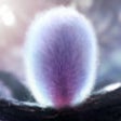 Icono de programa: Furry Flower