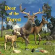 Icon of program: Deer of the Forest