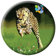 Hansa Cheetah icon