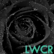 Icon of program: black rose live wallpaper
