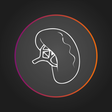 Icono de programa: SplenoCalc