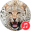 Icono de programa: Cheetah (animal) Sounds