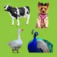 Icon of program: Animal Sounds Quiz For Ki…
