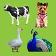 Icono de programa: Animal Sounds Quiz For Ki…
