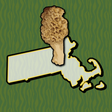 Icono de programa: Massachusetts Mushroom Fo…