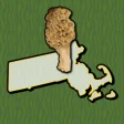 Icon of program: Massachusetts Mushroom Fo…